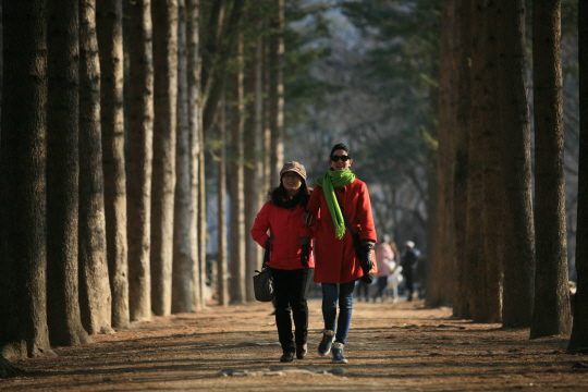 남이섬을 찾은 여행객