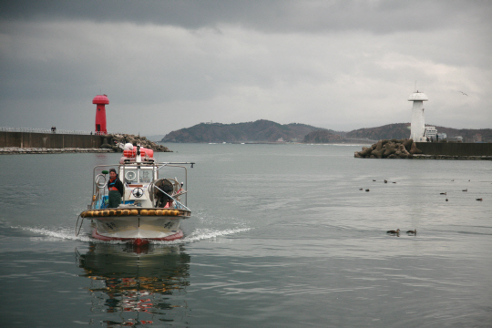 물치항으로 도루묵배가 귀항하고 있다.