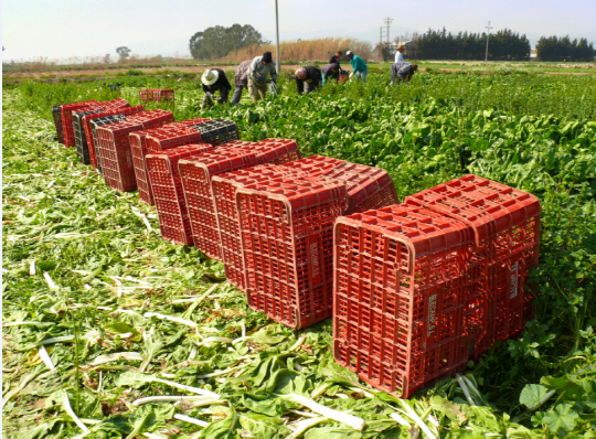 바이스 요브레갓 농업공원의 바르셀로나 도심 인근에 자리잡고 있으면서, 바로셀로나에 식재료를 공급한다.