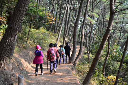 갈맷길1-2코스(달맞이길)