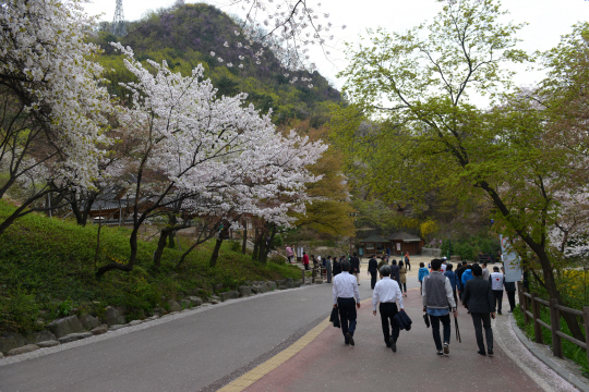 남산북측순환산책로