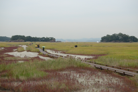 화성 고정리공룡알화석지