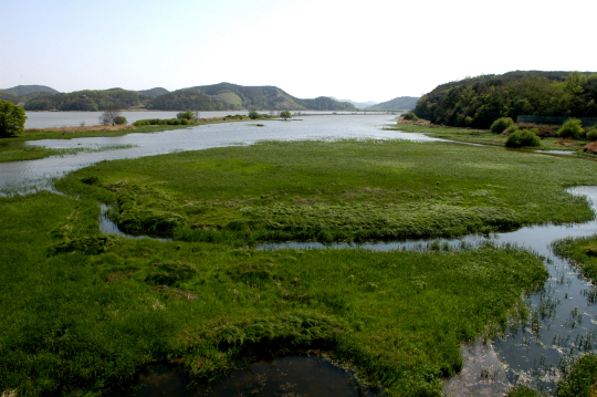 우포늪 생명길