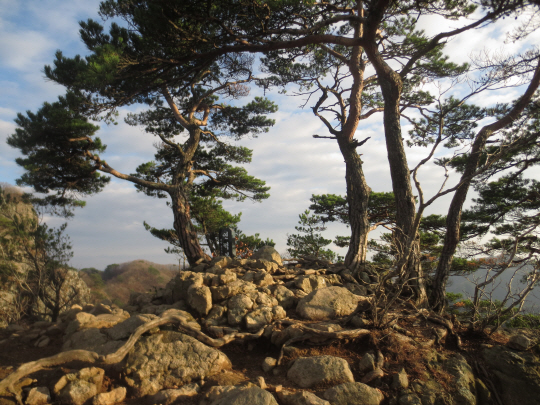 청량산유림길 연적봉