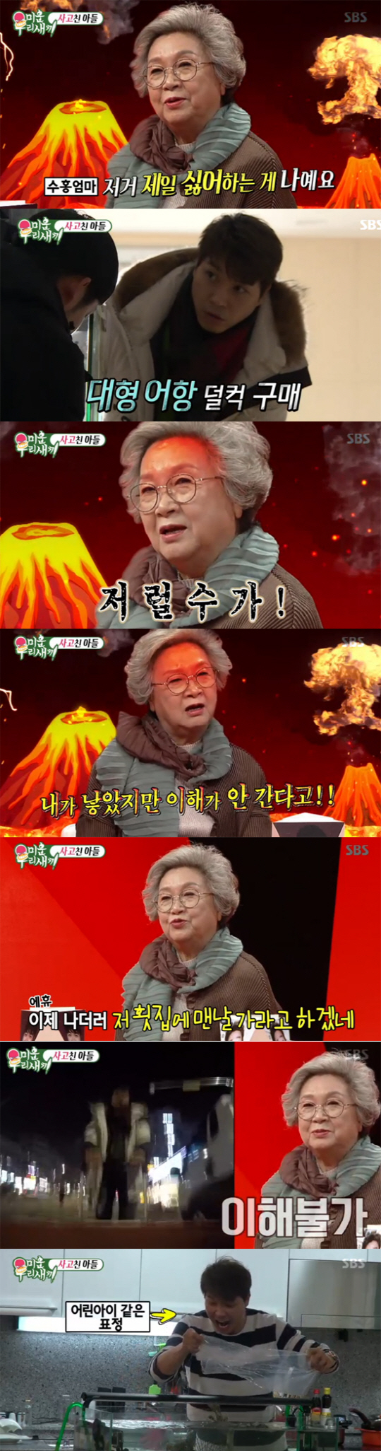 [SC리뷰]"왜저러나 몰랑" `미우새` 박수홍母 수족관에 `분노 폭발`