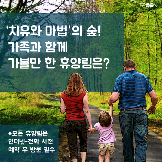 [카드뉴스] '치유와 마법'의 숲! 가족과 함께 가볼만 한 휴양림은?