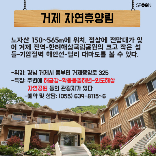[카드뉴스] '치유와 마법'의 숲! 가족과 함께 가볼만 한 휴양림은?