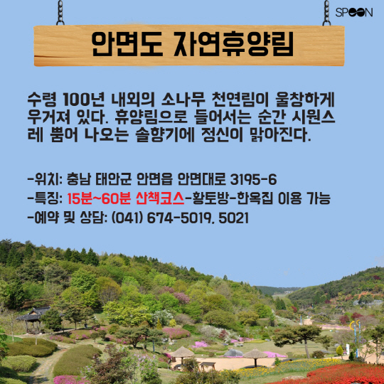 [카드뉴스] '치유와 마법'의 숲! 가족과 함께 가볼만 한 휴양림은?