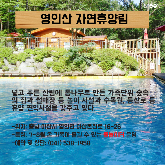 [카드뉴스] '치유와 마법'의 숲! 가족과 함께 가볼만 한 휴양림은?