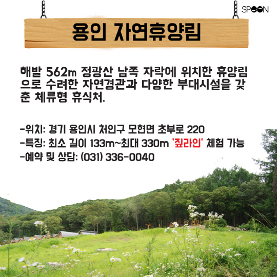 [카드뉴스] '치유와 마법'의 숲! 가족과 함께 가볼만 한 휴양림은?