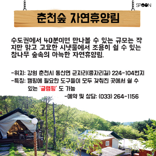 [카드뉴스] '치유와 마법'의 숲! 가족과 함께 가볼만 한 휴양림은?