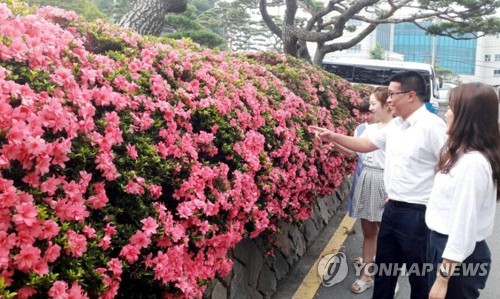"비 내리면 어때" 궂은 날씨에도 해수욕장 피서인파 `넘실`