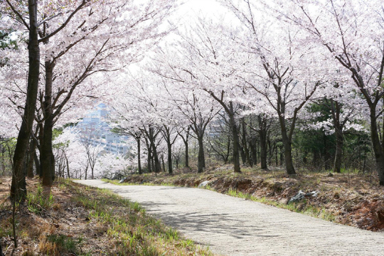 울산어울길 01코스