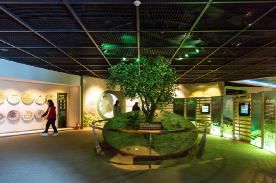 한국차박물관의 차 문화실