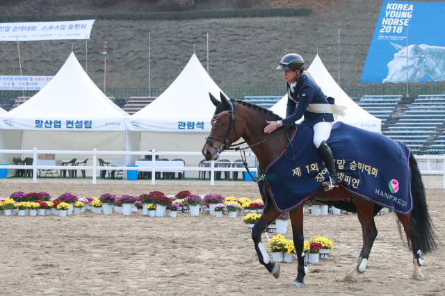'승용마 꿈나무 모여라' 마사회, 국산 어린말 승마대회 참가자 모집