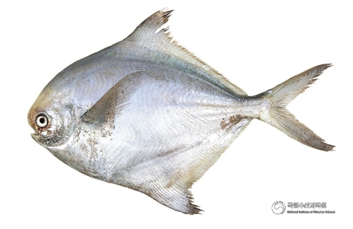 [국립수산과학원 제공]