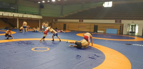 헝가리 전지훈련 중인 레슬링 대표팀 [레슬링 대표팀 선수단 제공=연합뉴스]