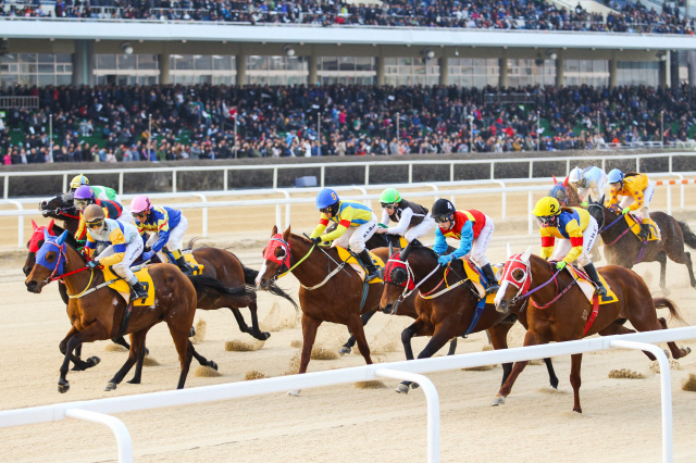 렛츠런파크 서울 1600m 마일 경마 경주 최초 시행