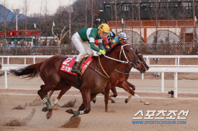 [경마]서울 경마 12월 시행계획 발표, 혹한기 휴장
