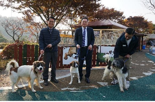 복제된 단모종 바둑이 삽살개(왼쪽부터), 단모종 바둑이 삽살개 2세, 장모종 바둑이 삽살개 2세. 가운데가 충남대 김민규 교수다. [충남대 김민규 교수팀 제공. 재판매 및 DB 금지]
