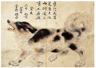 [대전 오월드 제공. 재판매 및 DB 금지]