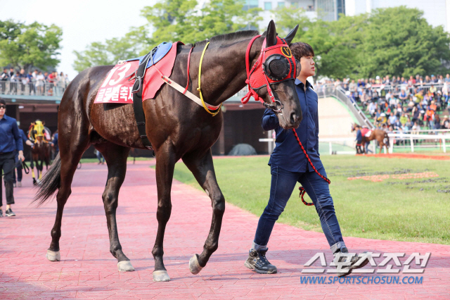 [경마]2019 한국 경마 시리즈, 마지막까지 서울이 활짝 웃었다
