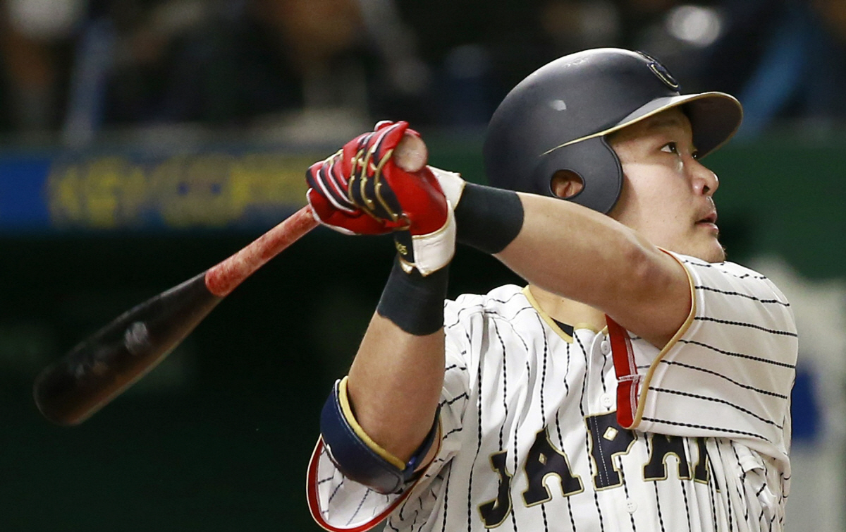 쓰쓰고. AP연합뉴스