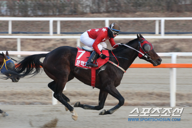 [경마]2019년은 나의 해, '문학치프' 코리아컵에 이어 그랑프리도 재패