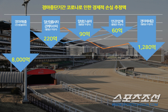 코로나로 멈춰 선 경마… 말 산업에 드리운 '코로나 블루'