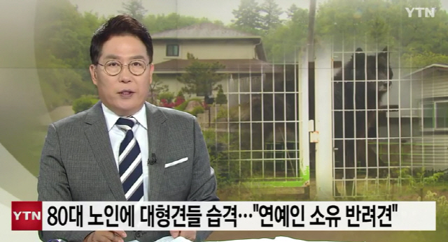 연예인 소유 반려견, 울타리 넘어 80대 여성 습격…목격자 "목줄·입마개 하지 않았다"