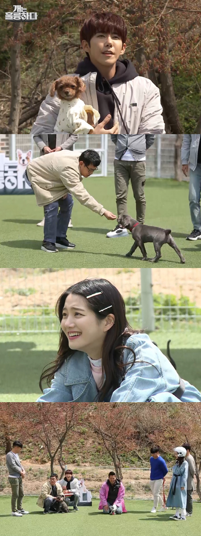 '개훌륭' 맹견도 명견이 될 수 있다…'멍멍스쿨 훈련백서' 오픈