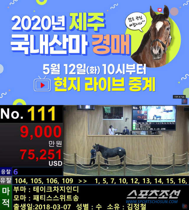 [경마]끝을 알 수 없는 경마 휴장 탓? 2세 경주마 경매 낙찰률 20.5%로 마무리
