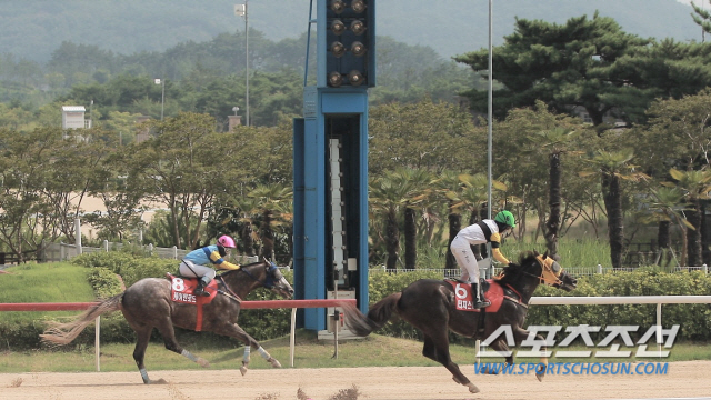 [경마]‘터치스타맨’, 짜릿한 역전승으로 KRA컵마일 우승