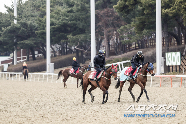 [경마]한국 경주마 능력 끌어올릴 비책, ‘조교전문기수’