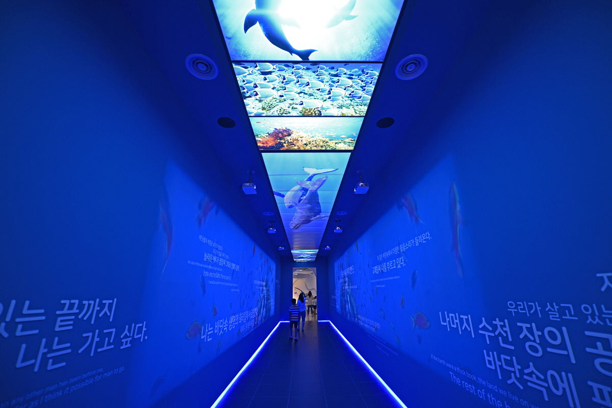 ◇울진국립해양과학관 오션홀