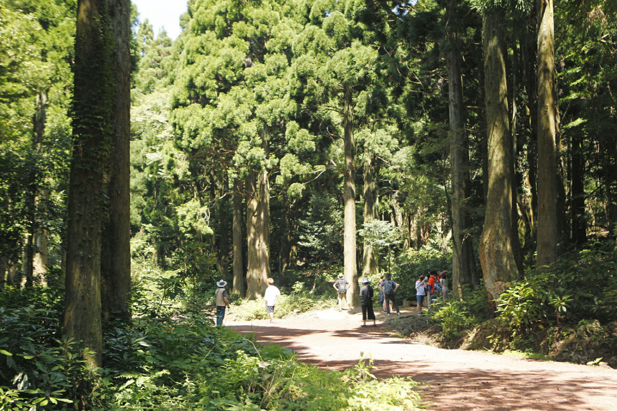 ◇마을힐링해설사와 함께하는 숲길 힐링 프로그램