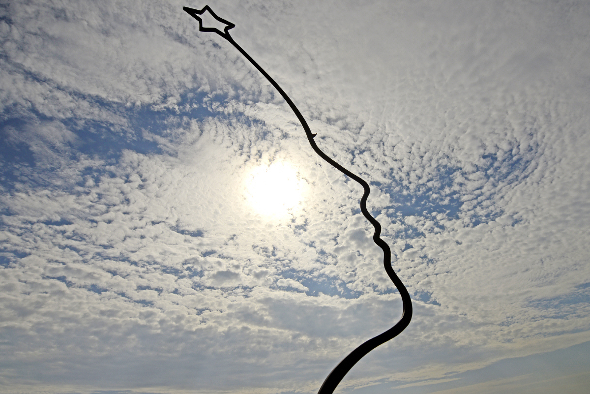 ◇최병수 작가의 얼솟대