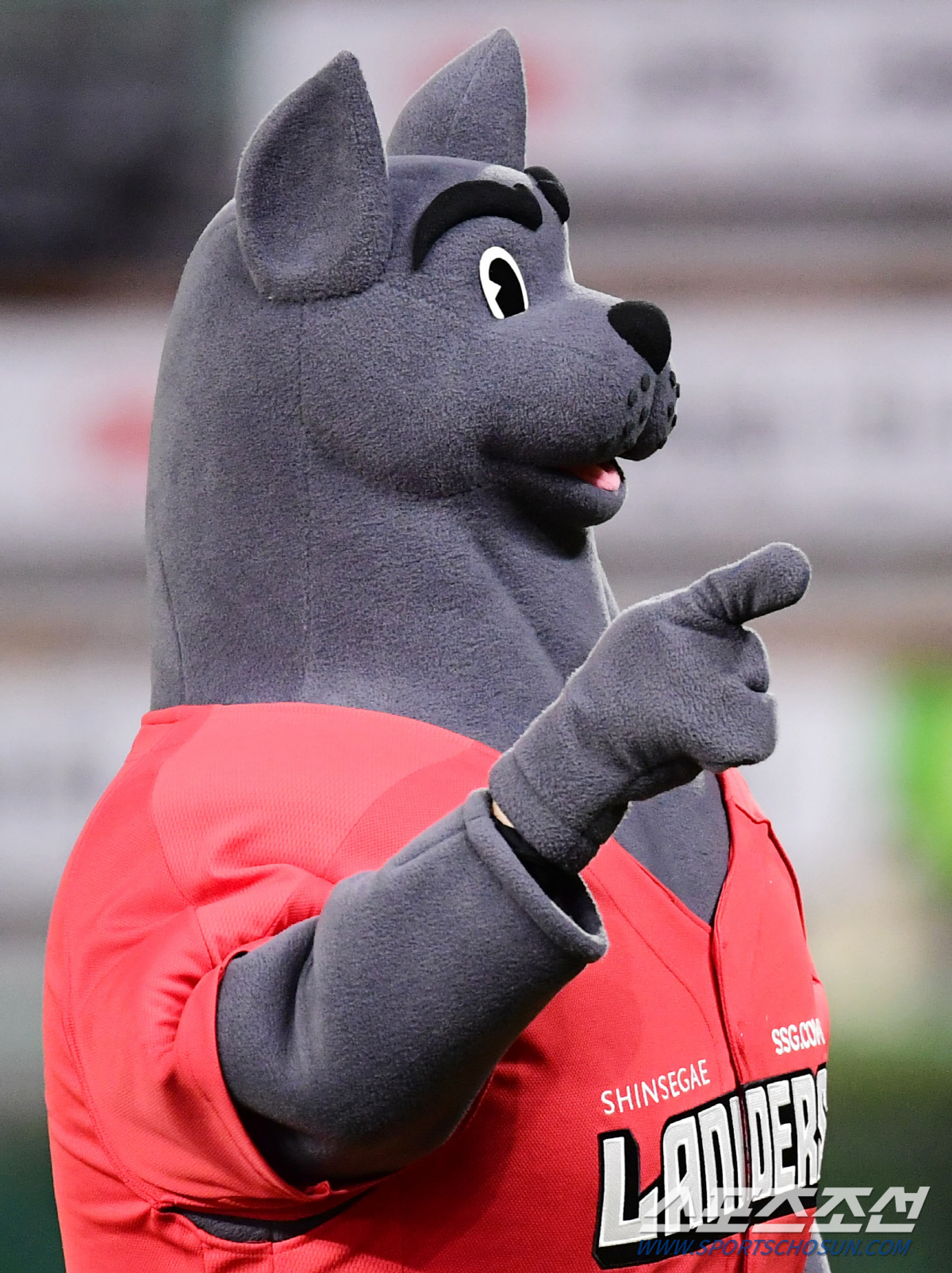 랜디, 얼굴이 작고 목이 정말 정말 두껍다. 팬들의 많은 사랑을 받길...