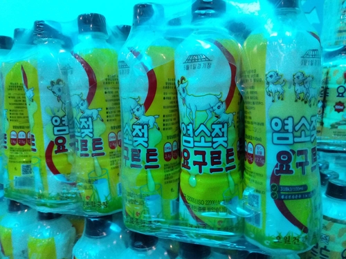(평양 조선신보=연합뉴스) 재일본조선인총연합회 기관지 조선신보는 북한 내 음료 생산·판매 1위라는 '오일건강음료종합공장'이 만드는 음료를 7일 소개했다. 사진은 공장에서 염소젖 요구르트. 2021.11.7 [국내에서만 사용가능. 재배포 금지. For Use Only in the Republic of Korea. No Redistribution]