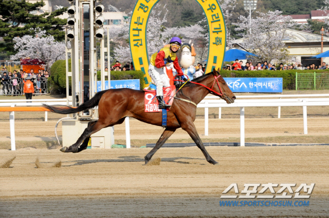 [경마] '그 아버지에 그 아들' 한·일 양국에서 펼쳐진 경마 대첩 결과는?