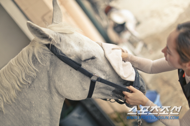 경마 100주년 맞은 한국마사회, 말 복지 위한 말 복지 세부 가이드라인 2종 발표