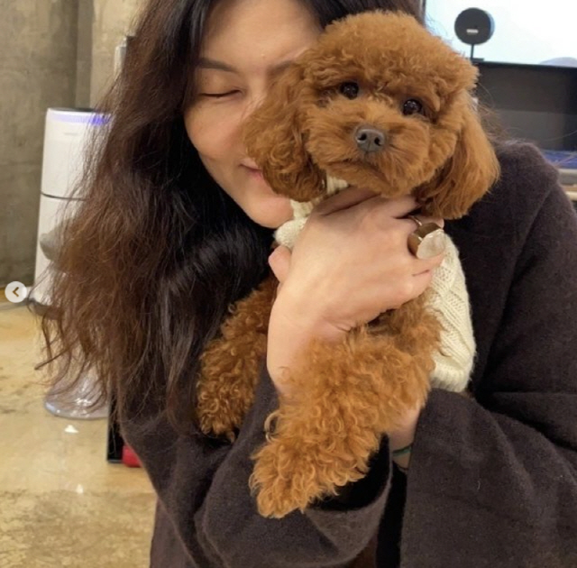 한혜연, 고통 받았지만…이제 찾은 행복 "어제 한참 웃음"