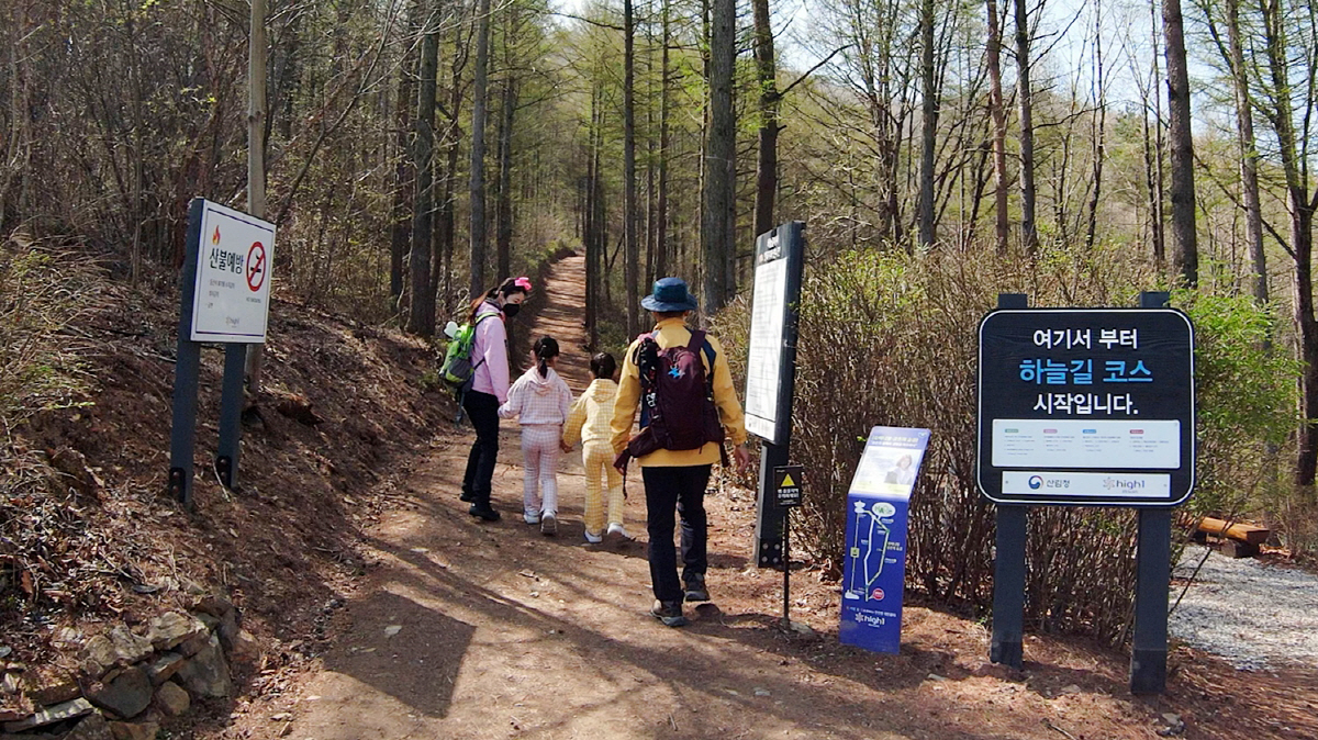 ◇ 하이원리조트 'HAO 숲 체험'. 사진제공=하이원리조트