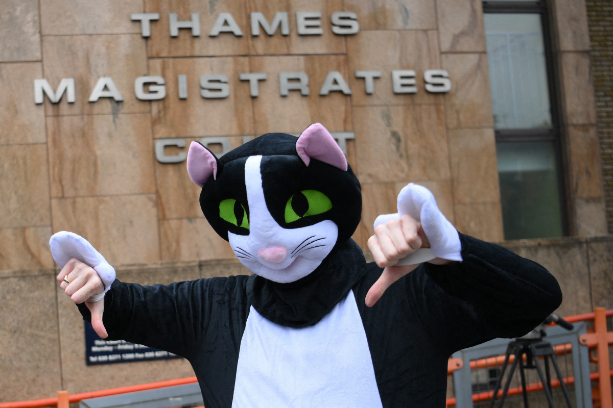 "반려묘 끔찍한 학대" 웨스트햄 수비수,벌금1400만원 '겨우 반나절 급료'