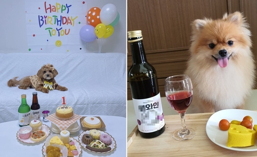 [최영림 정민아 씨 제공. 재판매 및 DB 금지]