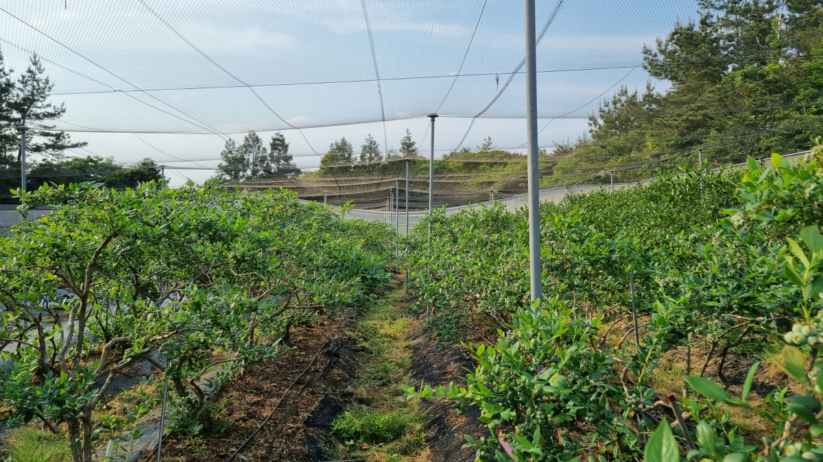 ◇ 폴개협동조합. 사진제공=농촌진흥청.