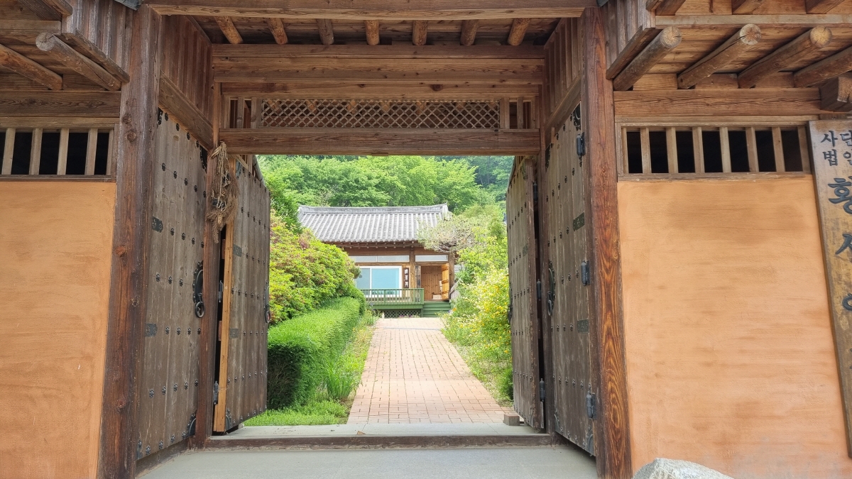 ◇횡성예다원. 사진제공=농촌진흥청.