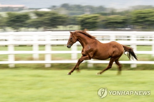 한국마사회, 건전 경마 주간 맞아 서약식 등 행사 개최