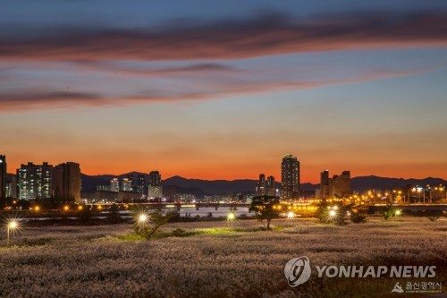 울산시티투어버스, 가족·치유·달빛 주제로 11일 운행 재개