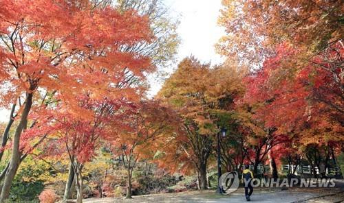 남원시 왕정공원 숲에 도심 야영장 조성…내년 하반기 개장